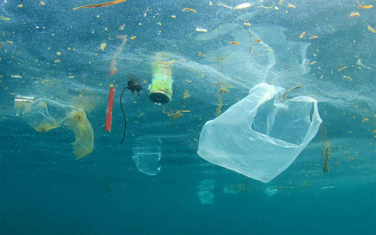 single use plastics floating in the ocean with other pollutants